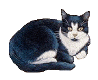 s8489.gif