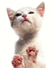 s8274.gif