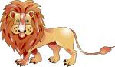 lion.jpg
